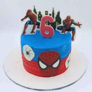 6th Birthday Spiderman Theme photo