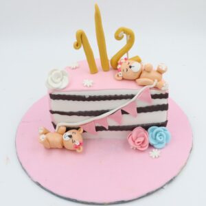 Six Month Birthday special